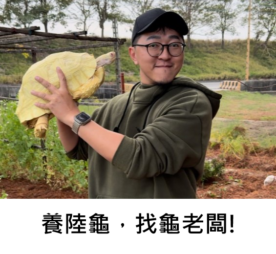 龜老闆養陸龜.png 龜老闆養陸龜.png