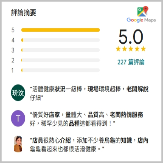 Google 5星好評 Google 5星好評